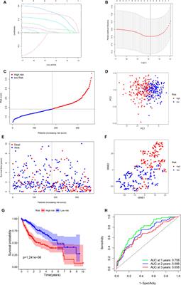 Ferroptosis-Related Hub Genes in Hepatocellular Carcinoma: Prognostic Signature, Immune-Related, and Drug Resistance Analysis